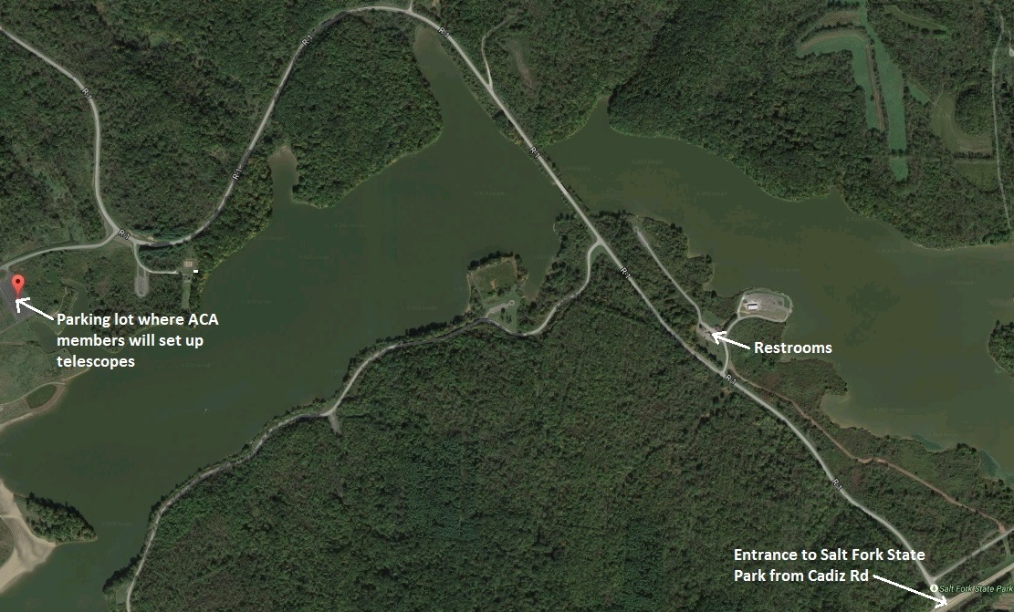 salt-fork